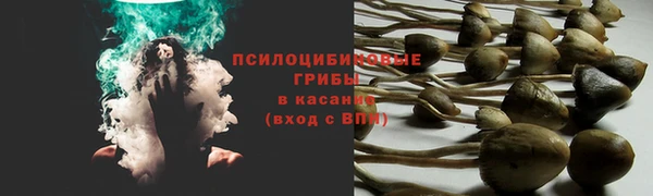 гашишное масло Богородицк